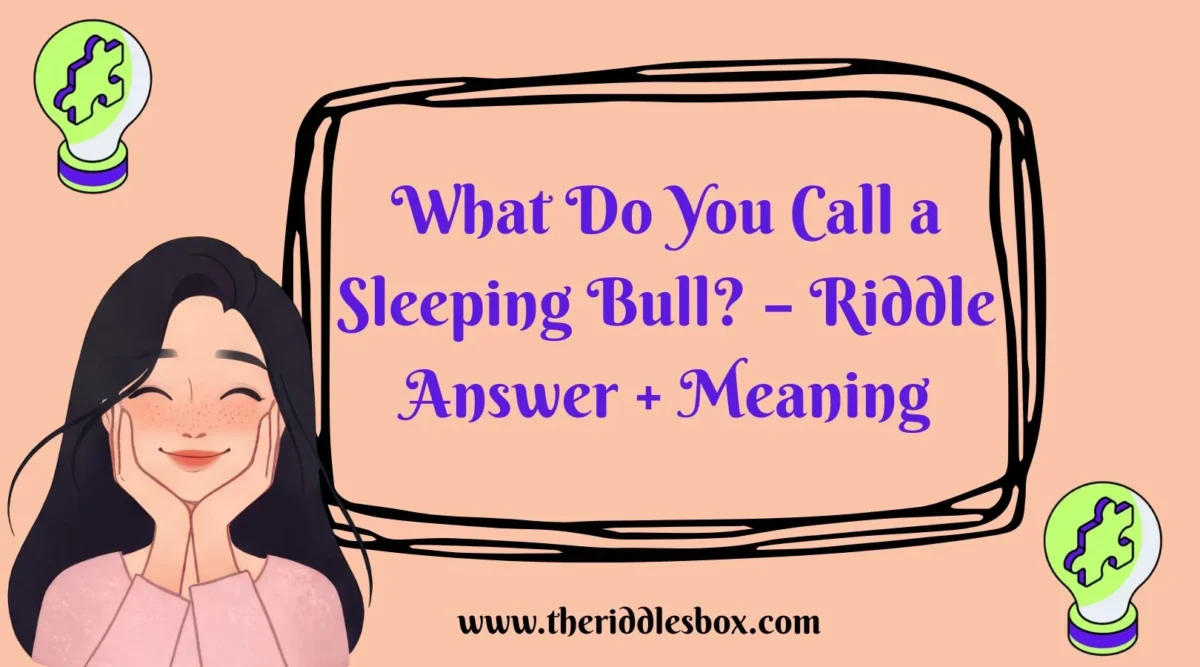 150+ What Do You Call a Sleeping Bull? – Riddle Answer + Meaning