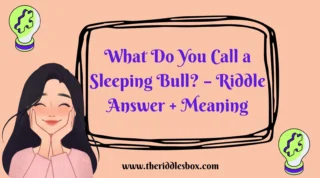 150+ What Do You Call a Sleeping Bull? – Riddle Answer + Meaning