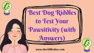 150+ Best Dog Riddles to Test Your Pawsitivity (with Answers)