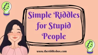 150+ Simple Riddles for Stupid People (with Answers)